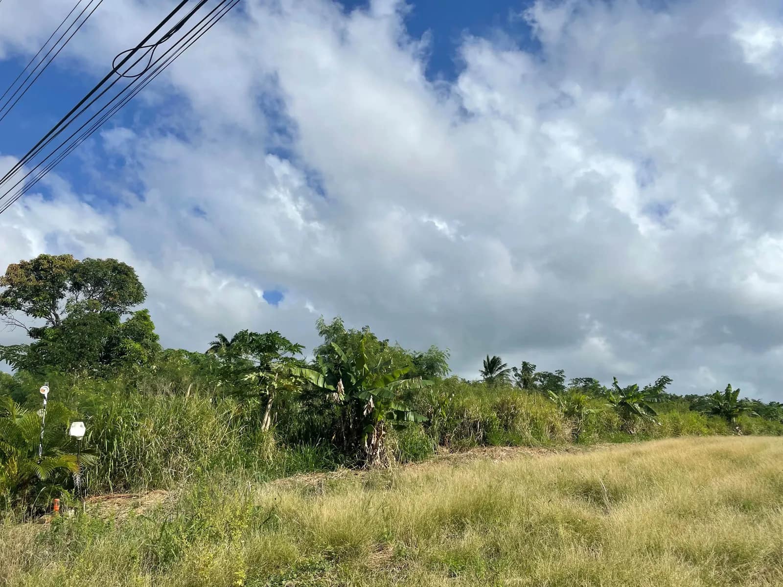 Ashton Hall, 1 Acre Lot