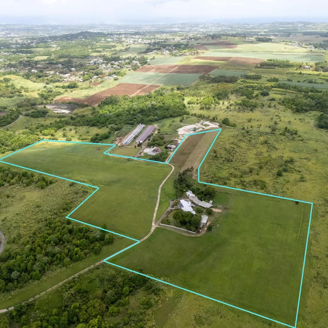 Belle Farm, Lots 1A & 2A