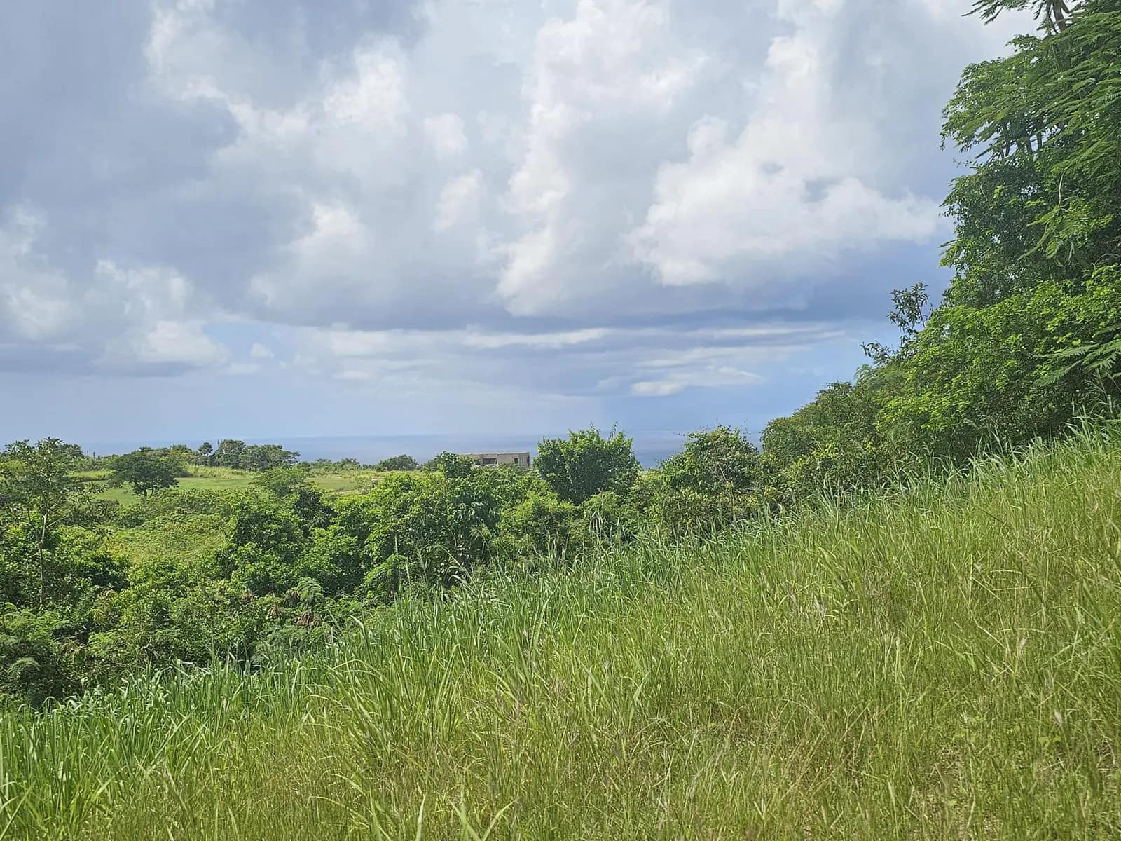Christie Village Land