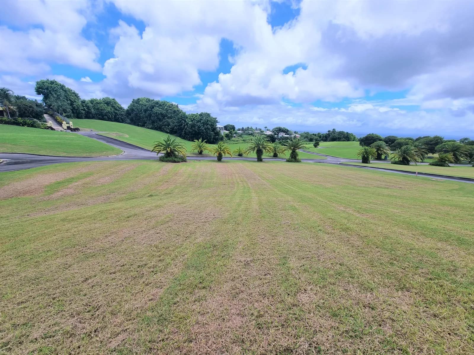 Lion Castle, Lot 4