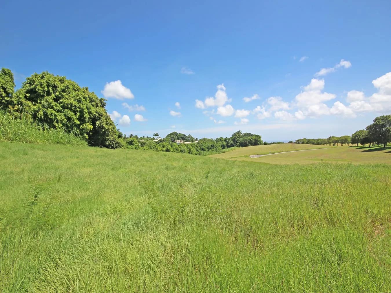 Lion Castle, Lot 8A
