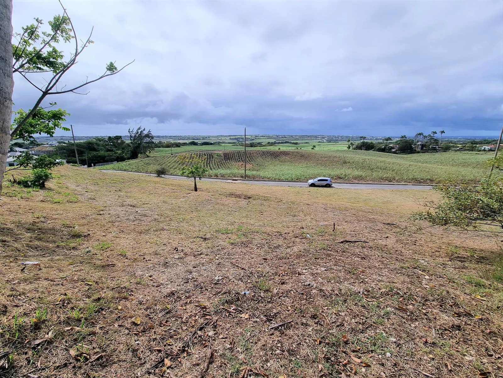 Montview Terrace Lot 1
