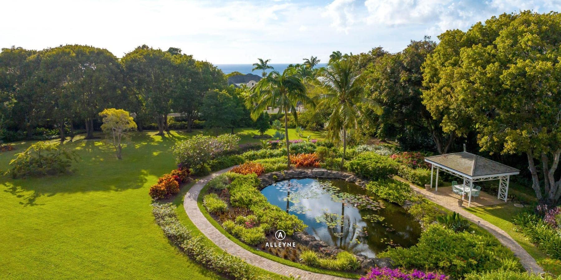 Discovering "Second Thought" and "Mango Bay"
