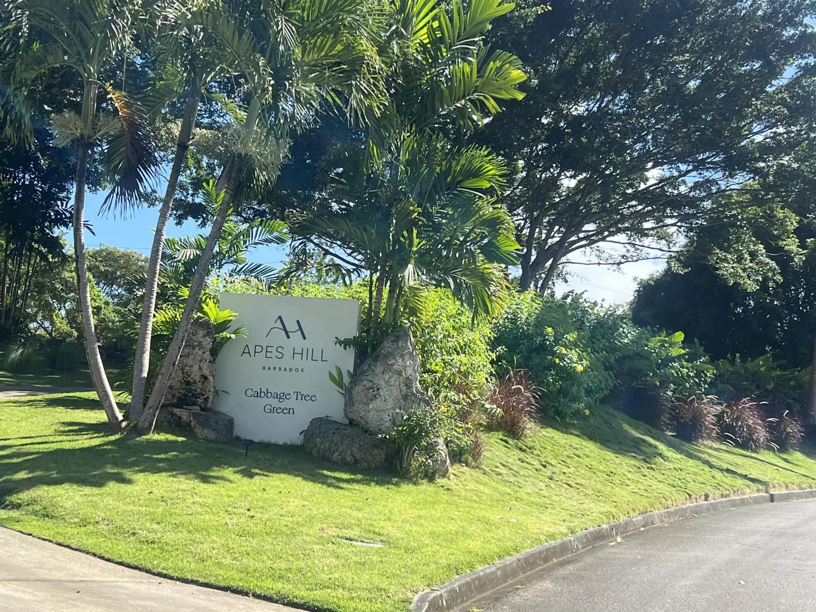 Apes Hill, Cabbage Tree Green J48