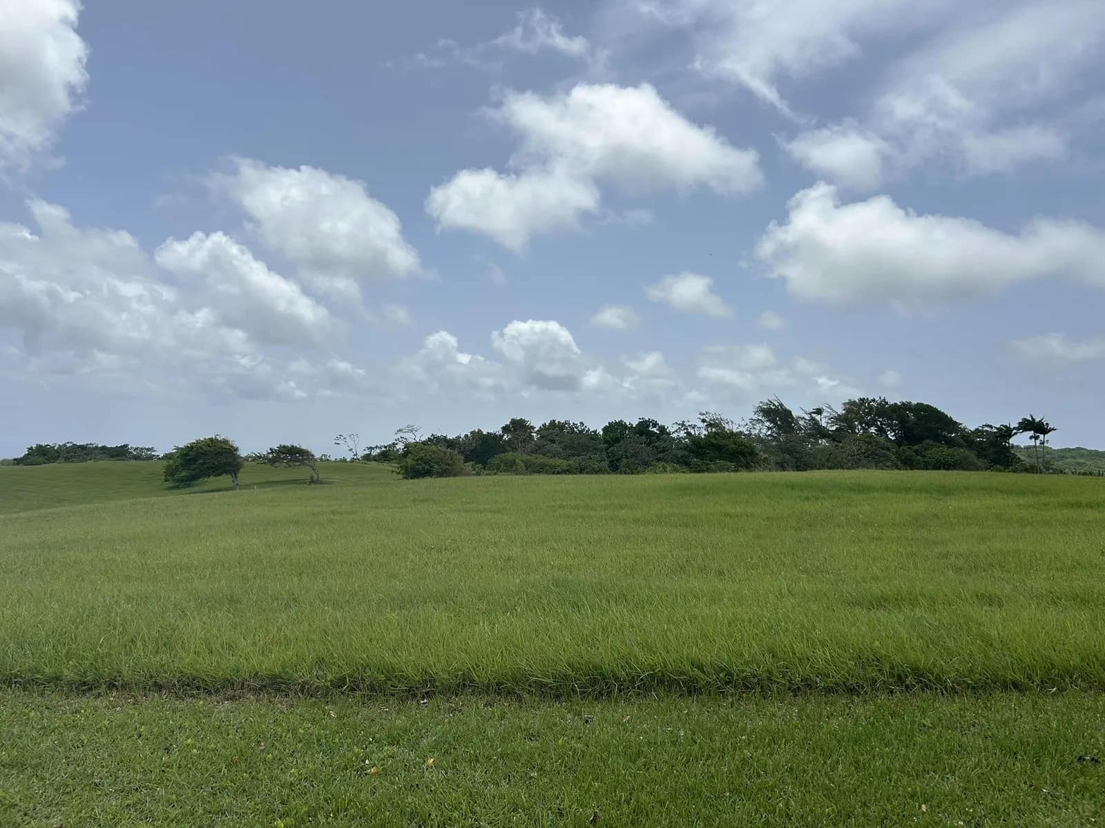 Apes Hill, Holders Meadow, H16