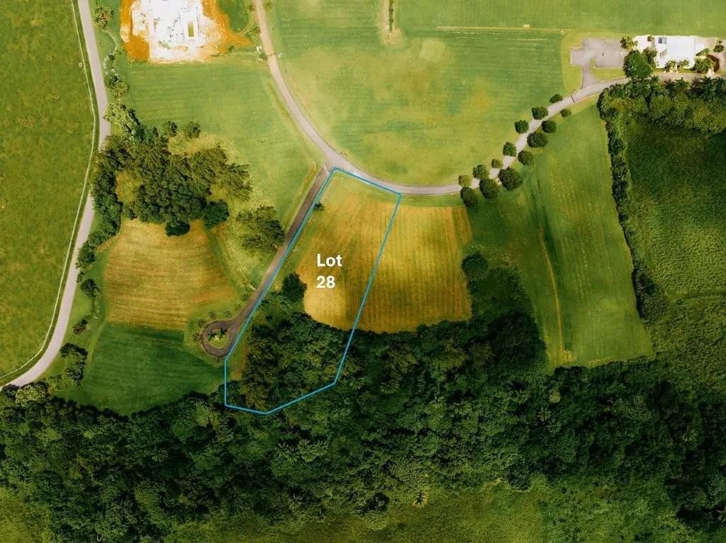 Lion Castle Polo Estate, Lot 28