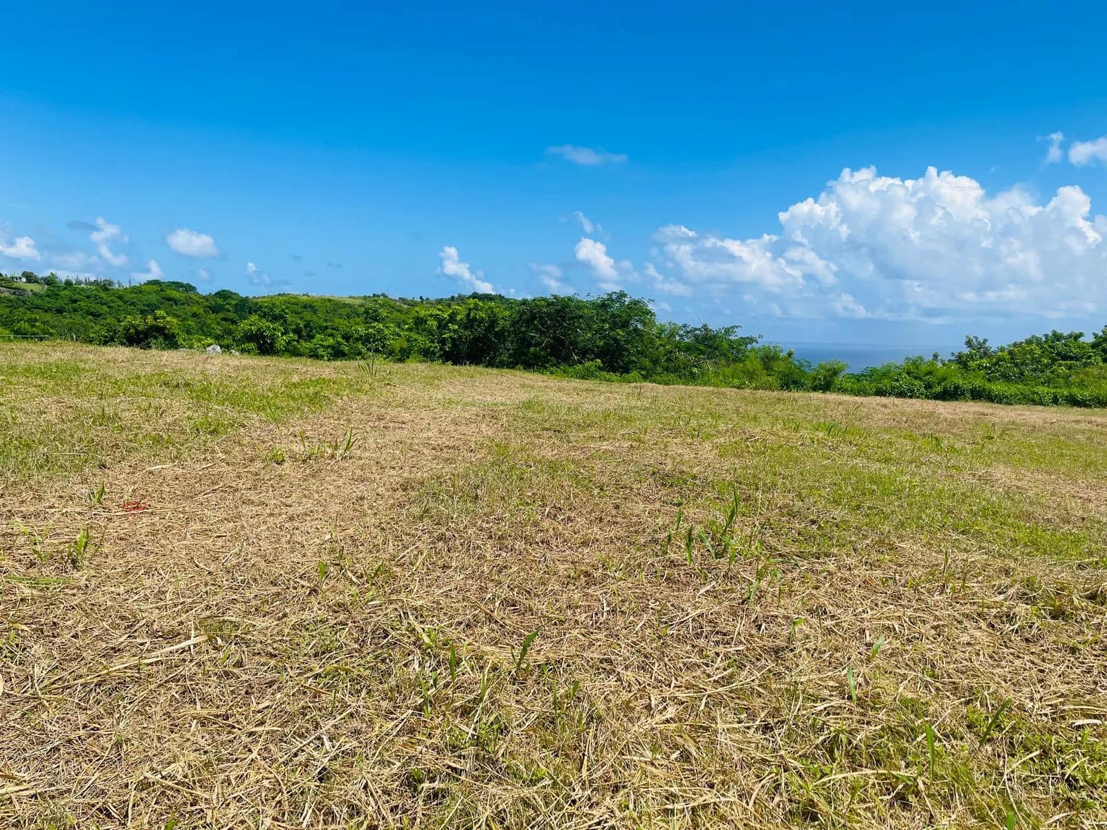 Mount Pleasant Heights Lot 89